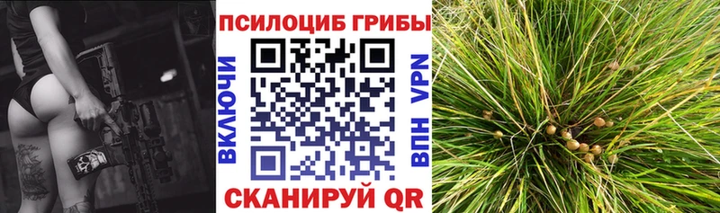 Галлюциногенные грибы прущие грибы  как найти закладки  Нижняя Тура 